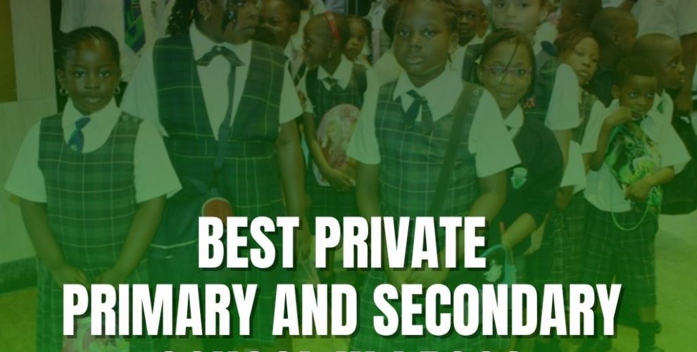 primary and secondary school in Lagos